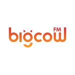 BIGCOWFM - 大牛 FM